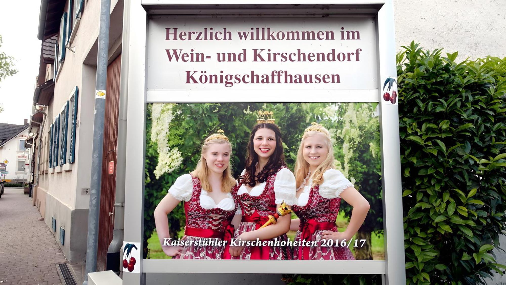 Ferienwohnung Fliegerhorst Endingen am Kaiserstuhl Eksteriør bilde