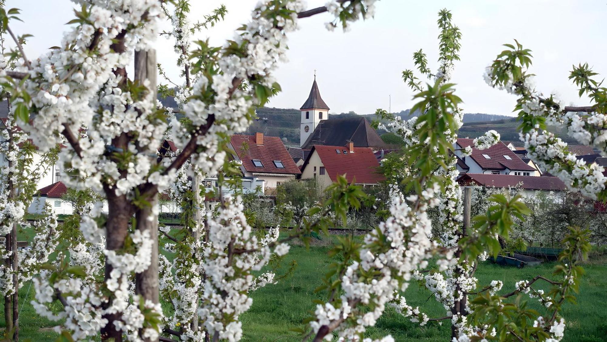 Ferienwohnung Fliegerhorst Endingen am Kaiserstuhl Eksteriør bilde