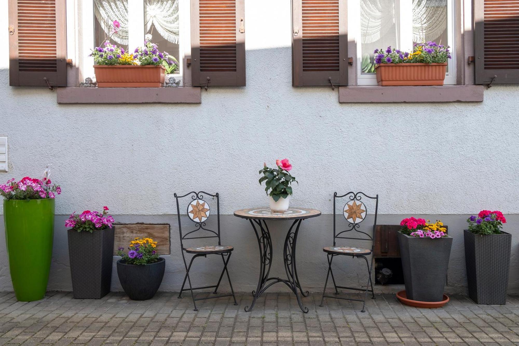 Ferienwohnung Fliegerhorst Endingen am Kaiserstuhl Eksteriør bilde