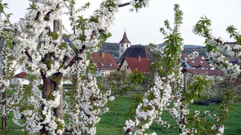 Ferienwohnung Fliegerhorst Endingen am Kaiserstuhl Eksteriør bilde